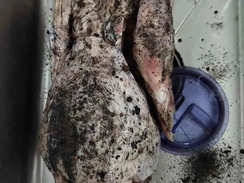 How to make pure milk hand-torn toast: Step 1