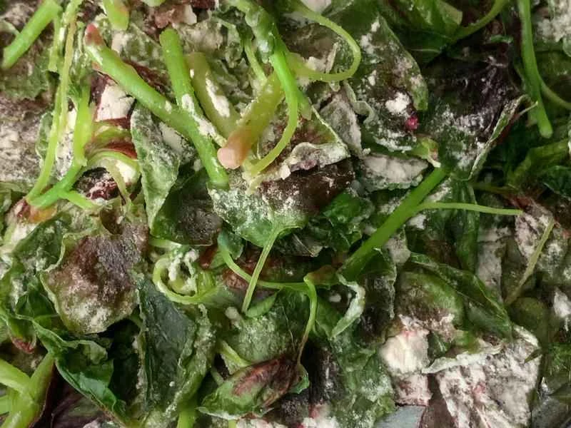 How to make pure milk hand-torn toast: Step 1