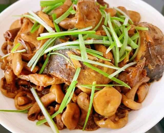 Recipe for braised fish chunks with pine mushrooms