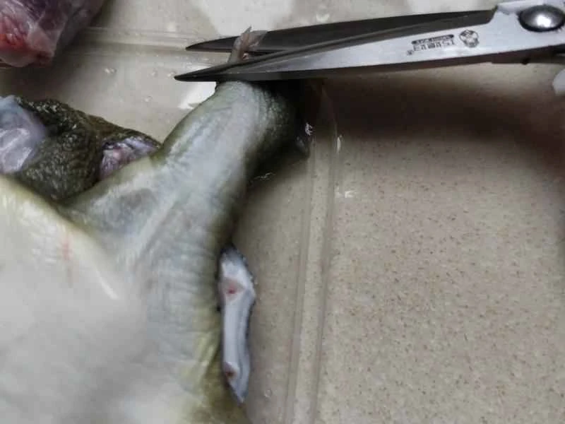 How to make pure milk hand-torn toast: Step 1