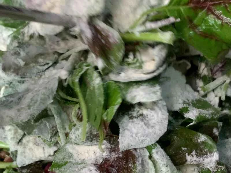 How to make pure milk hand-torn toast: Step 1