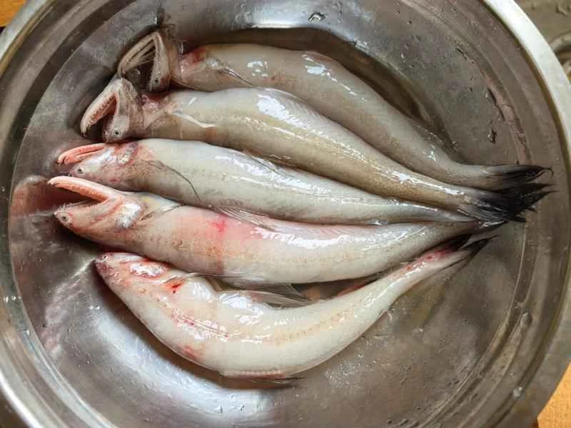 How to make pure milk hand-torn toast: Step 1